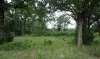 6489 S FM 779, Alba, TX 75140