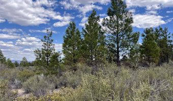 NF4433 Road 1 OF 2, Beatty, OR 97621