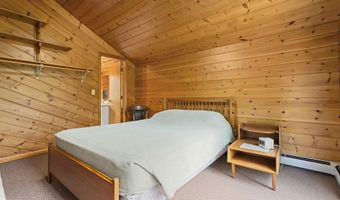 9201 Wreck Rd, Alpena, MI 49707