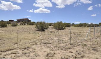 12 County Rd N8543, Concho, AZ 85924