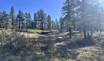782 Hawks Meadow Dr, Bayfield, CO 81122