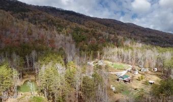 1693 Steve Brown Rd, Bean Station, TN 37708