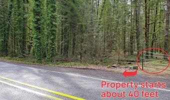 E Barlow Trail Rd, Brightwood, OR 97011