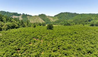 17246 ALSEA Hwy, Alsea, OR 97324
