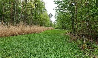 15252 27 Mile Rd, Albion, MI 49224