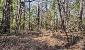 1560 NE Bens Trl, Brookhaven, MS 39601