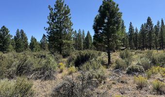 Bufflehead Drive 18, Bonanza, OR 97623