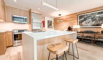 100 E Cooper Ave 4, Aspen, CO 81611