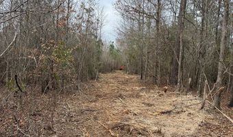 1365 Mickle Smith Trl, Bogue Chitto, MS 39629