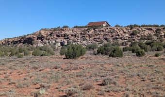 77 CR N8604, Concho, AZ 85924