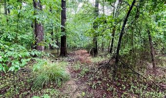CARSONS WAY, Amissville, VA 20106