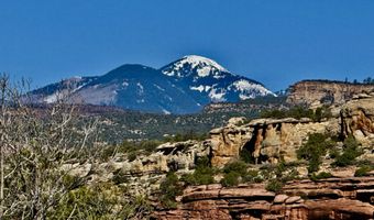 TBD X4 Road, Bedrock, CO 81411