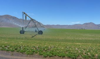 51955 Wilder Creek Rd, Denio, NV 89404