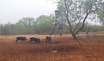 CR 145 & CR 173, Alice, TX 78332