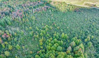 V/L S M-33, Alger, MI 48610