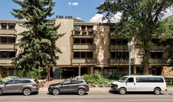 600 E Main St 207, Aspen, CO 81611