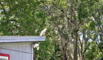 1043 LAKESIDE Dr, Apopka, FL 32712