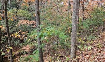 125 Ahart Ridge Rd 163, Ararat, VA 24053