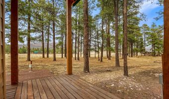 7 A County Road N2312, Alpine, AZ 85920