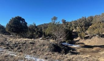 132 White Tail Pl, Arboles, CO 81121