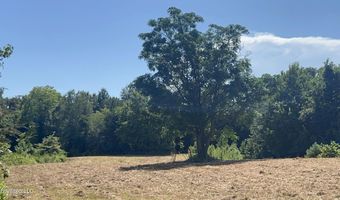 001 Farr Rd, Bolton, MS 39041