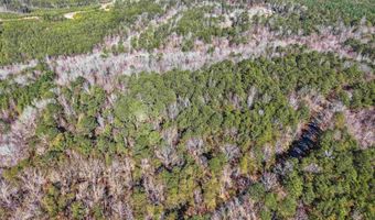 15045 LOCK 17 Rd Lot 1, Adger, AL 35006