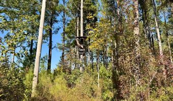 TBD Binnicker Bridge Road, Bamberg, SC 29003