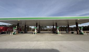 44 Auburn Gate Ln, Auburn, GA 30011