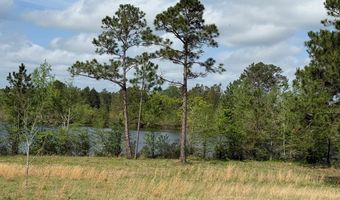 1034 Ga Hwy 30, Alamo, GA 30410