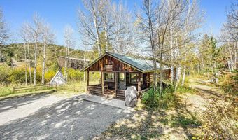1087 Highway 7 Bus Rte, Allenspark, CO 80510