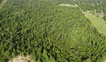 TBD NW Shuman Ferry Rd, Altha, FL 32421