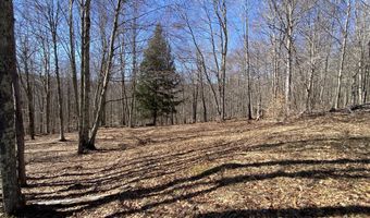 L22.2 Alder Pond Road, Andes, NY 13740