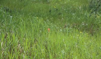 TBD Old Flowers Road, Bellvue, CO 80512