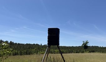 county road 222, Abbeville, AL 36310