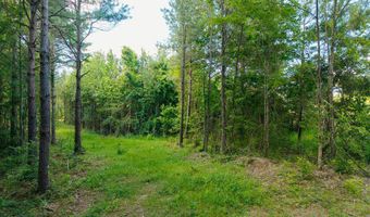 Trickhambridge Road lot 7, Brandon, MS 39042