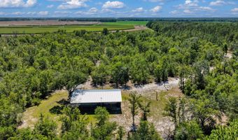 7000 NW 7th Way, Bell, FL 32619