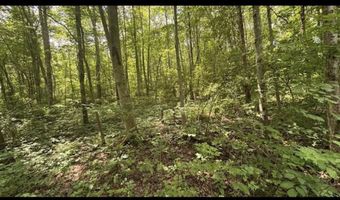 14500 Wolfe Rd, Amesville, OH 45711