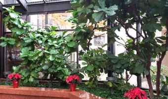 1530 KEY Blvd 1319, Arlington, VA 22209