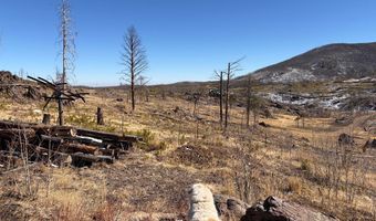 28 Agate Ct, Bellvue, CO 80512