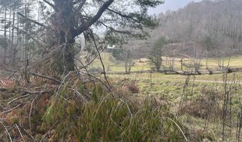 99999 White Pine Ln, Bakersville, NC 28705