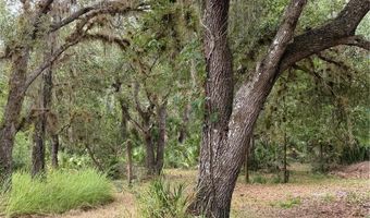 2963 SW ARMADILLO Trl, Arcadia, FL 34266