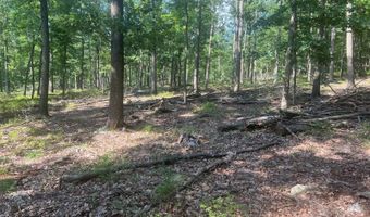 242 Brush Mountain Rd, Altoona, PA 16601