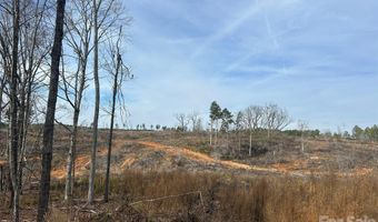33 Ac Lot A Countryside Dr, Blackstock, SC 29014