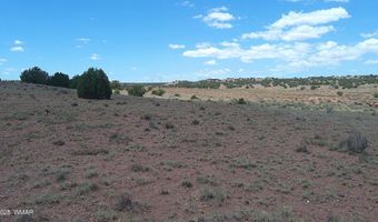 Tbd Ranch of the White Mountains, Concho, AZ 85924