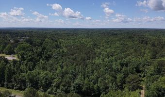 TBD Pine Street, Arkadelphia, AR 71923