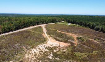 Lot 2 Highway 790, Ackerman, MS 39735