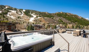 404 S Galena St 207, Aspen, CO 81611