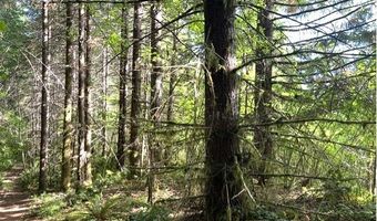 Nowakowski Rd, Banks, OR 97106