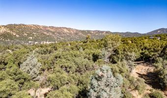 41902 Woodward Way, Ahwahnee, CA 93601