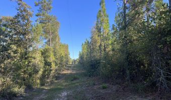 259 Forest Lake Rd, Beaumont, MS 39423